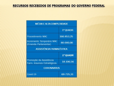 Foto 11: Audiência Pública da Saúde - 28 de Maio de 2020