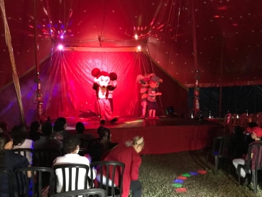 Foto 31: Passeio no Circo