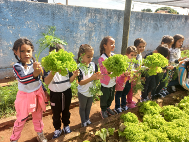 Foto 43: Projeto Pequeno Agricultor