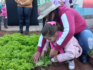 Foto 21: Projeto Pequeno Agricultor