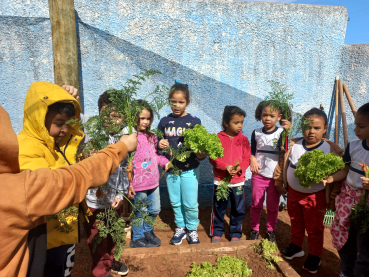 Foto 40: Projeto Pequeno Agricultor