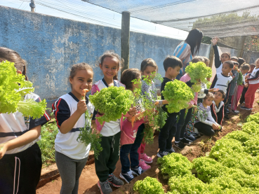 Foto 38: Projeto Pequeno Agricultor