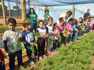 Foto 47: Projeto Pequeno Agricultor