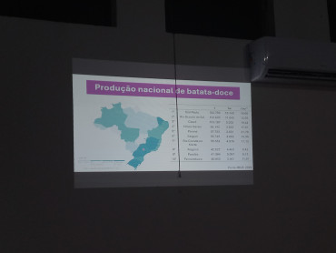 Foto 13: Workshop sobre Manejo da Batata-Doce é realizado em Quatá