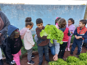 Foto 18: Projeto Pequeno Agricultor