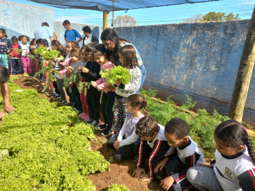 Foto 37: Projeto Pequeno Agricultor