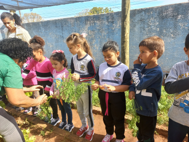 Foto 50: Projeto Pequeno Agricultor