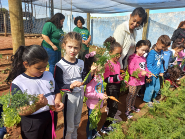 Foto 48: Projeto Pequeno Agricultor