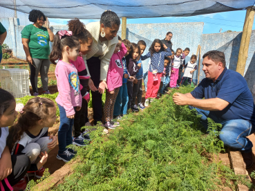 Foto 46: Projeto Pequeno Agricultor