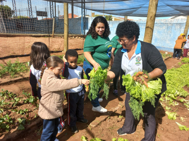 Foto 45: Projeto Pequeno Agricultor