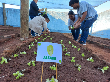 Foto 27: Projeto 