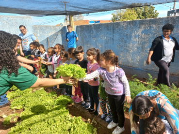 Foto 42: Projeto Pequeno Agricultor