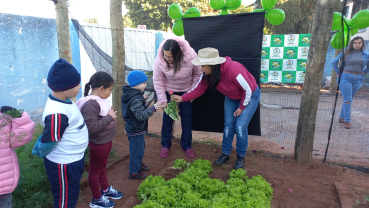 Foto 25: Projeto Pequeno Agricultor