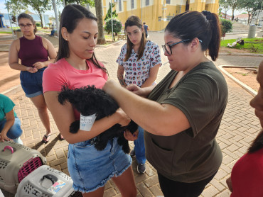 Foto 7: Campanha de Vacinação Antirrábica para cães e gatos