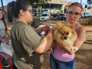 Foto 5: Campanha de Vacinação Antirrábica para cães e gatos