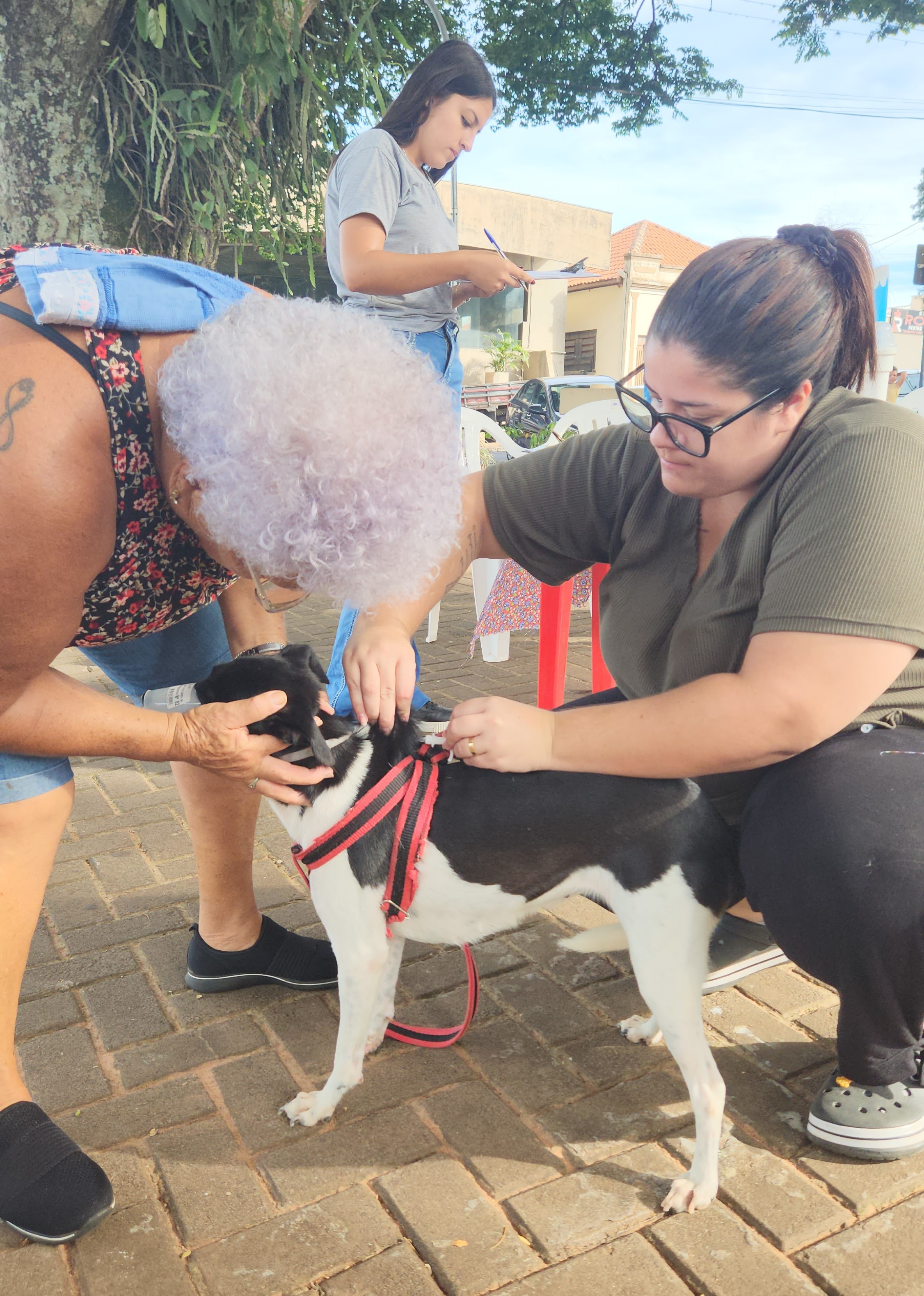 Foto 4: Campanha de Vacinação Antirrábica para cães e gatos