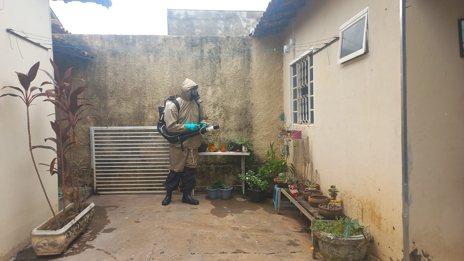 Foto 52: Prefeitura de Quatá trava uma luta contra o mosquito Aedes Aegypti e o Escorpião: Várias ações estão sendo realizadas para acabar com a Dengue e conscientizar a população