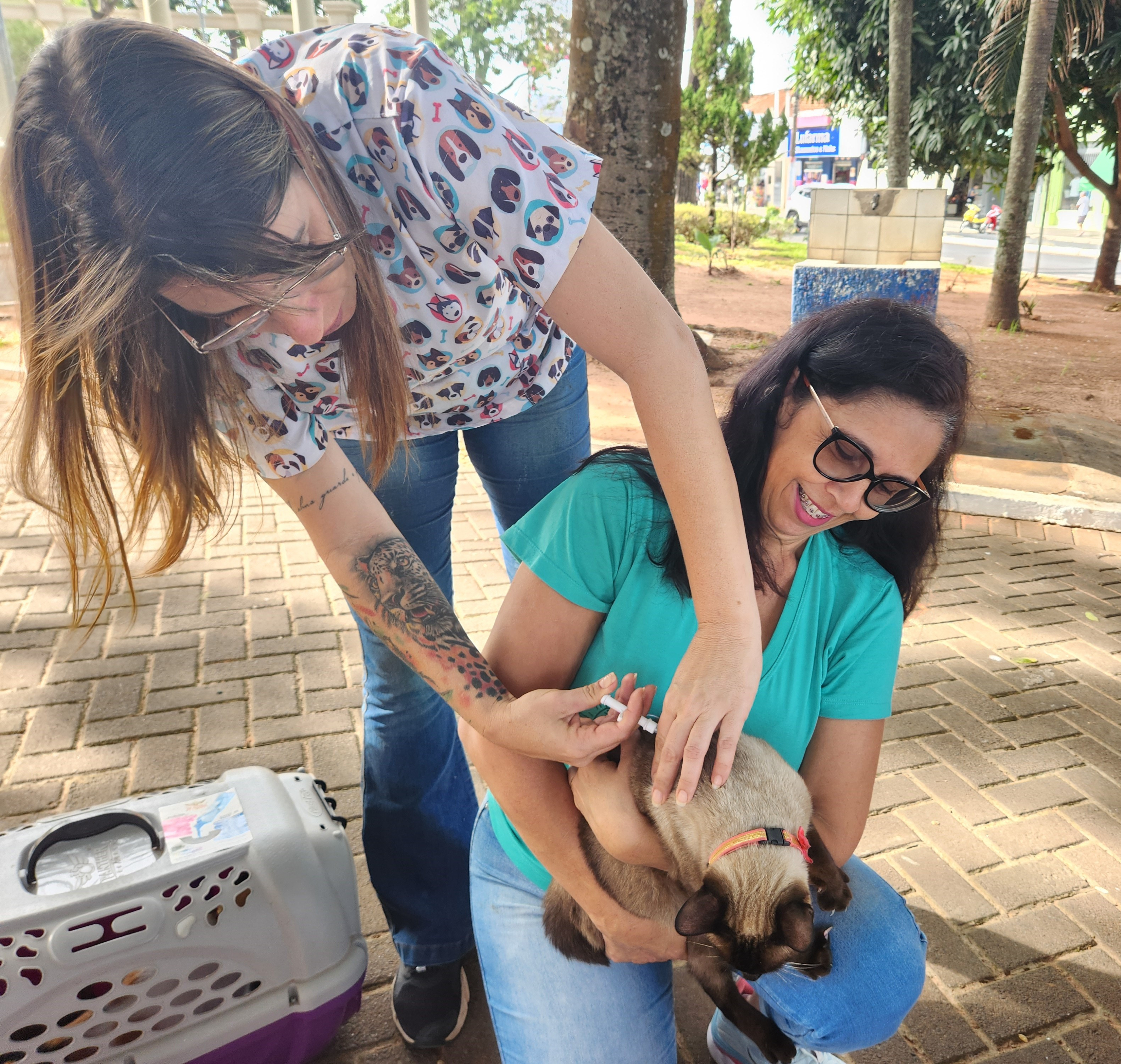 Foto 9: Campanha de Vacinação Antirrábica para cães e gatos