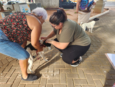 Foto 1: Campanha de Vacinação Antirrábica para cães e gatos