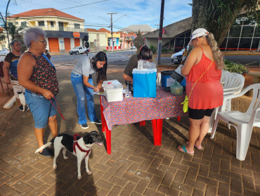 Foto 3: Campanha de Vacinação Antirrábica para cães e gatos