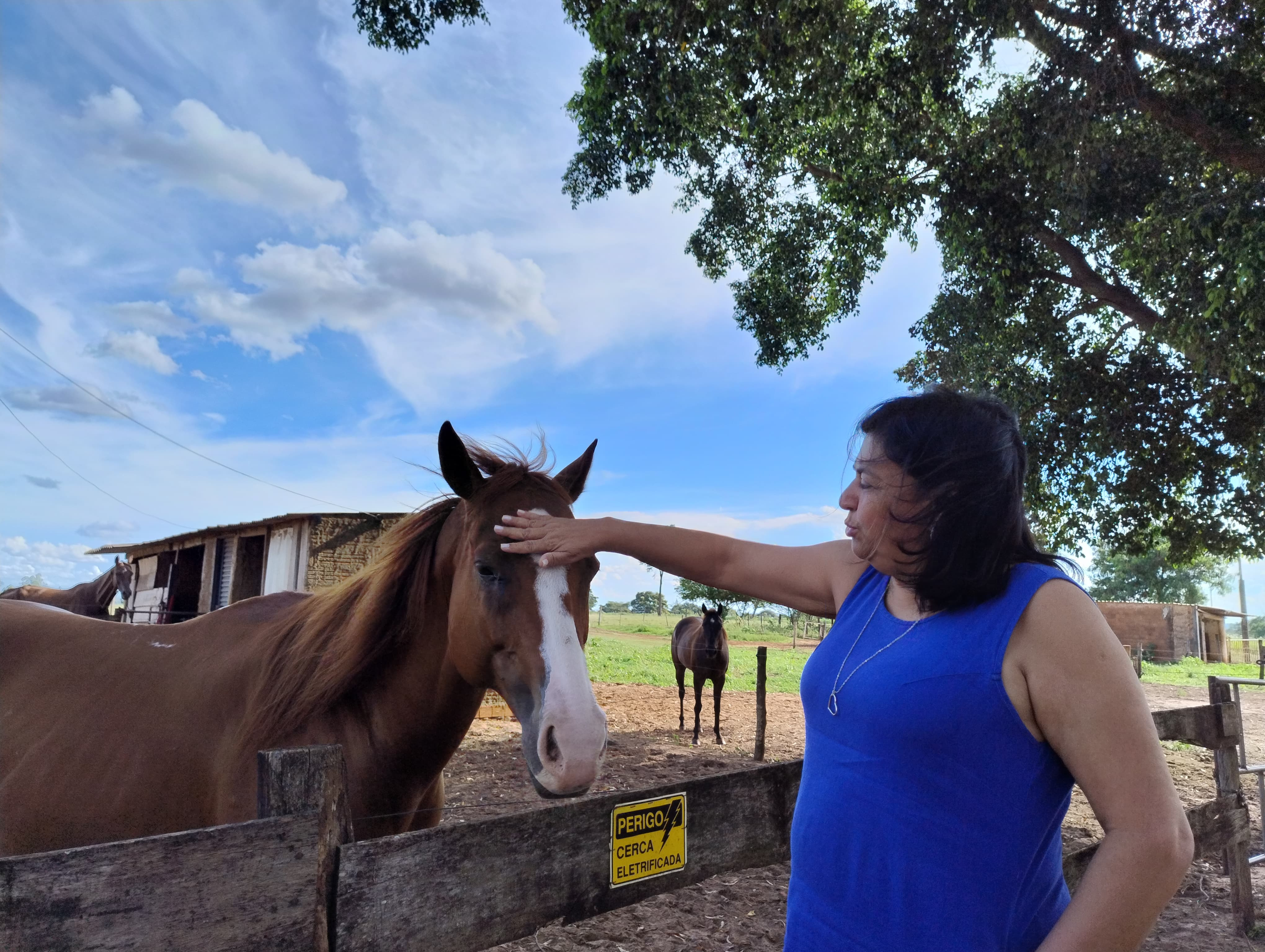 Foto 12: Visita ao Rancho Sem Limites