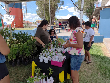 Foto 8: Dia da Mulher é celebrado pela Agricultura com Ação Sustentável