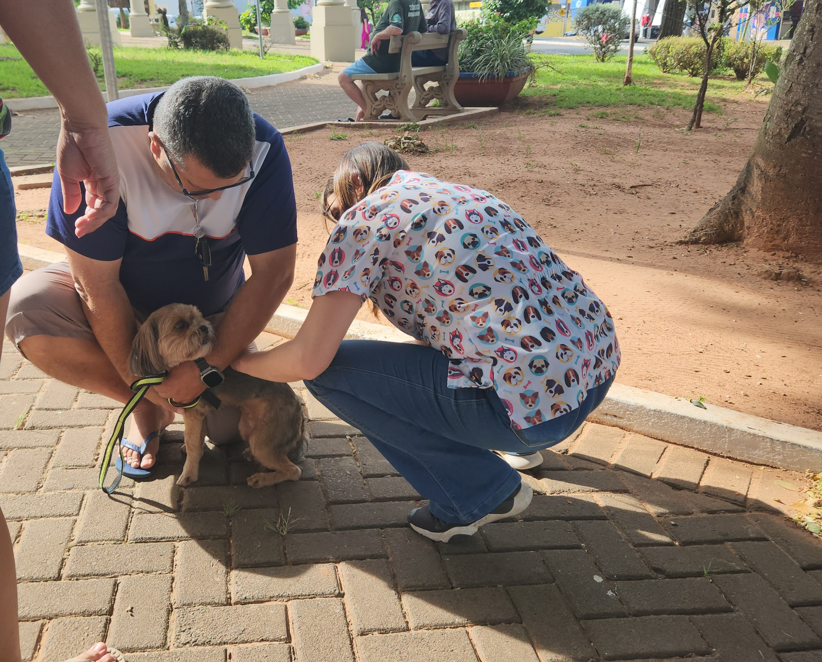 Foto 11: Campanha de Vacinação Antirrábica para cães e gatos