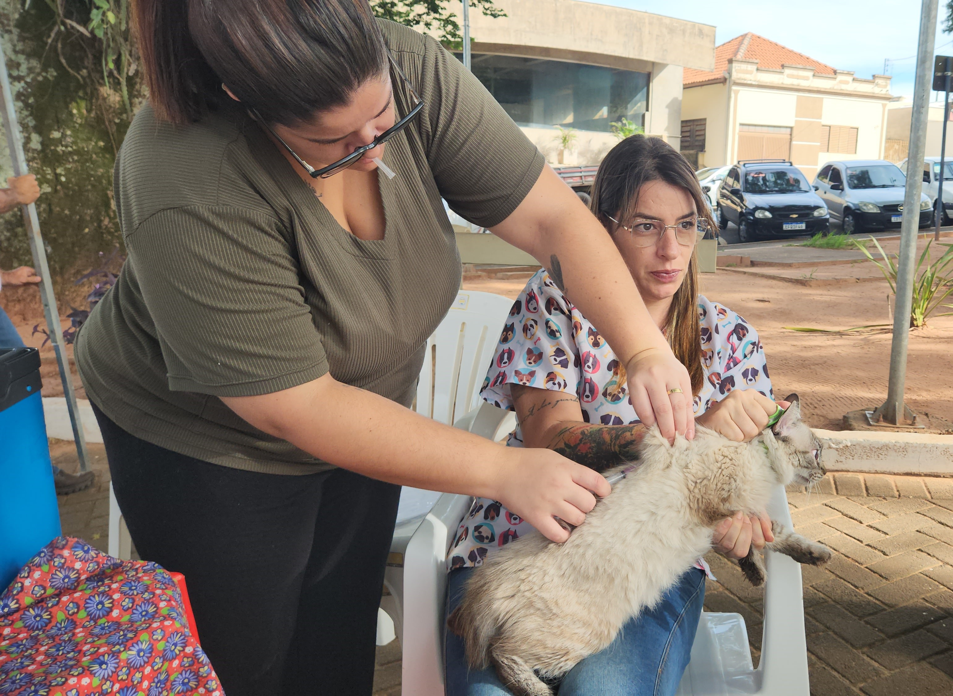 Foto 6: Campanha de Vacinação Antirrábica para cães e gatos