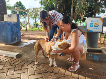 Foto 16: Campanha de Vacinação Antirrábica para cães e gatos