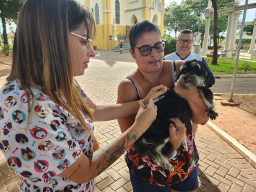 Foto 14: Campanha de Vacinação Antirrábica para cães e gatos